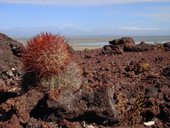 Bezstarostná jízda provincií Mendoza, Argentina