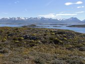 Ohňová země - Tierra del Fuego, Ushuaia, Argentina