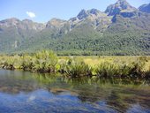 Milford Road