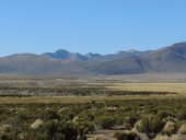 Panorama národního parku Volcán Isluga - nalevo je vidět vzdálený zasněžený vrchol Guallatiri (6071m) a blíže Cerro Lliscaya (5634m), Chile
