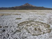 Salar de Surire a Cerro Chiguana /Chihuana/ (5290m), Chile