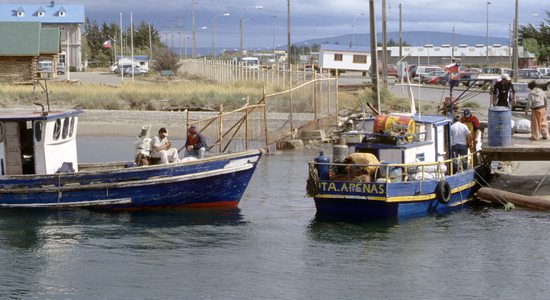 Rybáři v přístavu Punta Arenas, odkud jsme vyplouvali na ostrov Isla Magdalena, Magalhãensův průliv, Patagonie, Chile