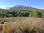 Mt Ruapehu