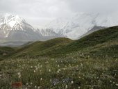 Cesta z Oše do základního tábora Ačik-Taš (3600m), Kyrgyzstán