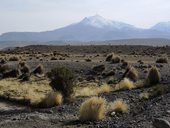 Guallatiri (6071m), Chile