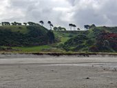 Little Waihi
