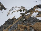 Kozia Kôpka (2100m) – jižní (Puškášův) pilíř, Vysoké Tatry, Slovensko