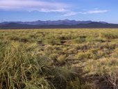 Bezstarostná jízda provincií Mendoza, Argentina