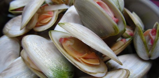 pippies po uvaření