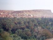 Úzká soutěska Todra (Gorges du Todra) a zelené údolí na březích řeky Todra, Maroko