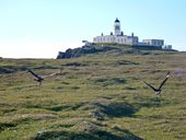 Neist Point