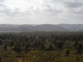 Východní Bali - Padangbai a okolí, Indonésie