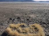 Salar de Surire a sopka Pukintika (5740m), Chile