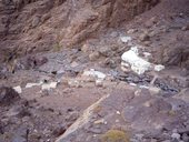 Zimní výstup na Jebel Toubkal (4167m), Vysoký Atlas, Maroko