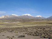 Pás sopek oddělujících Chile a Bolívii - Nevados de Quimsachata s vrcholy Umurata (5730m), Acotango (6052m) a Capurata (5990m) a zcela napravo Guallatiri (6071m)