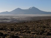 Salar de Surire, Chile