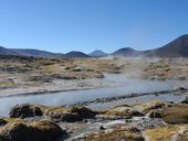 Salar de Surire, Chile