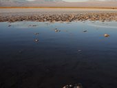 Laguna Cejar, Salar de Atacama, Chile