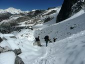 Langtang přes sedlo Ganja La, Nepál