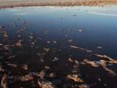 Laguna Cejar, Salar de Atacama, Chile