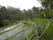 Centrální Bali - Ubud a okolí, Indonésie