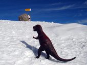 Elbrus (5642m), Rusko