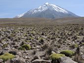 Tacora (5980m), Chile