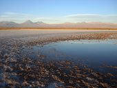 Laguna Cejar a v pozadí hlavní hřeben And, Chile