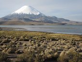 Parinacota a jezero Chungará, Lauca, Chile
