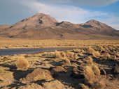 Laguna Paquisa v podveřerním světle, Chile