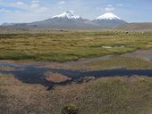Bofedal poblíž obce Caquena s dominantními sopkami Parinacota (6348m) a Pomerape (6282m), NP Lauca, Chile