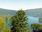 Pohled na jezero Conguillío při nástupu na stezku Sierra Nevada
