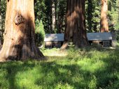 Yosemite, El Capitan, USA