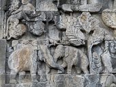 Starověké javánské chrámy v Borobudur, Mendit a Prambanan, Jáva, Indonésie