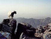 Jebel Toubkal (4167m), Vysoký Atlas, Maroko