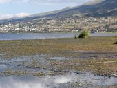 Vysokohorské jezero San Pablo a jeho okolí ve stínu mohutné sopky Imbabura (4630m), Ekvádor