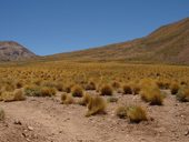 Aconcagua (6962m), Argentina