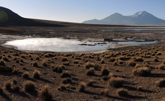 Termas de Polloquere na jižním okraji Salaru de Surire, Chile