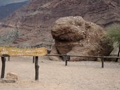 Ropucha (El Sapo), Quebrada de las Conchas, Argentina