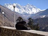 Everest Base Camp Trek, Himálaj, Nepál