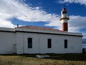 Isla Magdalena, Magalhaensův průliv, Patagonie, Chile