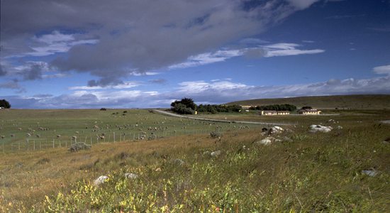 Patagonské pastviny v okolí Río Verde