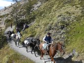 NP Torres del Paine - W trek, Chile