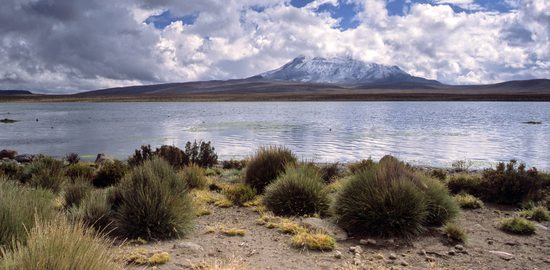 Národní park Lauca poblíž hranic Chile a Bolívie, Chile