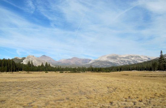 Tuolumne Meadows, Yosemite, USA