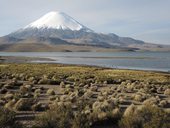 Parinacota a jezero Chungará, Lauca, Chile