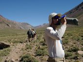 Přístup pod Aconcagua údolími Vacas a Relinchos, Argentina