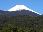 NP Conguillío, tady ožívají obrazy Zdeňka Buriana - sopky, jezera, lávová pole a araukáriové lesy, Chile