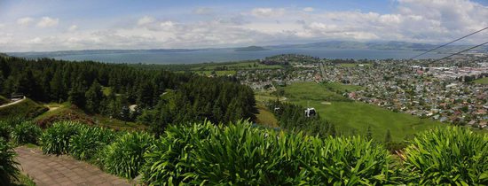 Ngongotaha panorama