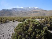 Aktivní sopka Isluga (5550m), Chile